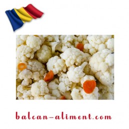 MAMA NINA CONOPIDA MURATA...