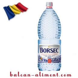 BORSEC APA PLATA 2 L