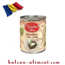 SCANDIA SARMALUTE IN FOI DE...