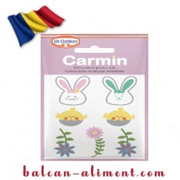 DR. Q CARMIN DECORATIUNI...