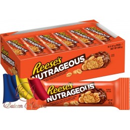REES NUTRAGEUS 47 GR (18)