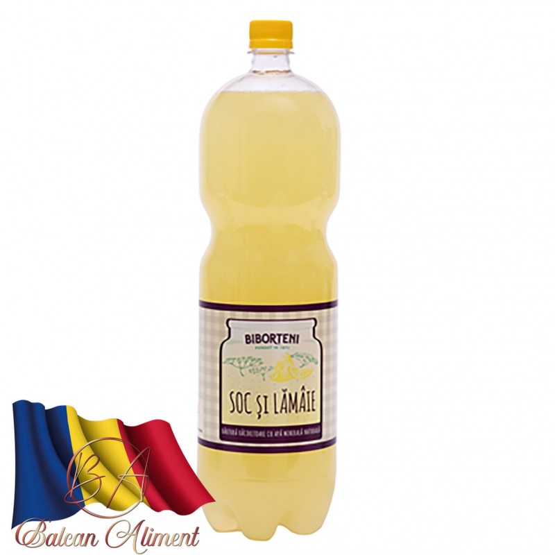 UDG BIBORTENI SOC LAMAIE 2 L (6)