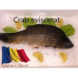 DIVERTAS CRAP EVISCERAT...