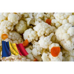 MAMA NINA CONOPIDA MURATA...